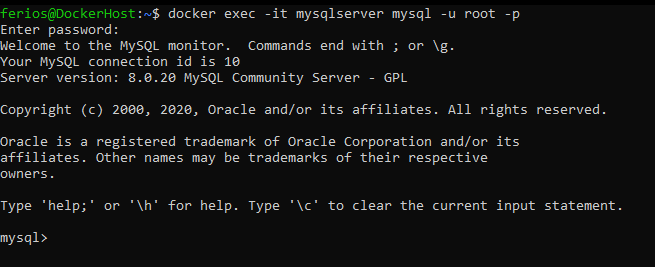 Navigating MySQL container