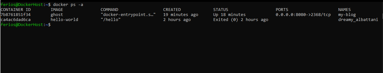 docker ps output
