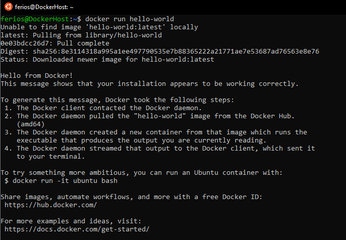 Docker hello-world output