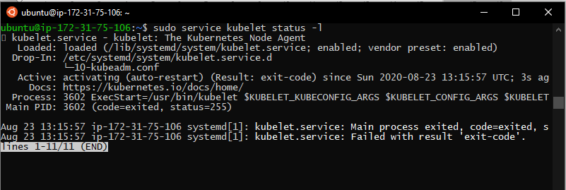 kubelet logs